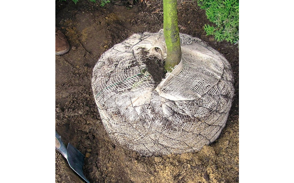 B 331130 Blizz-z - Engrais organiques-minéral pour arbres avec mycorhizes vivantes NPK 10-4-8+2 MgO - utilisation