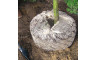 B 331130 Blizz-z - Engrais organiques-minéral pour arbres avec mycorhizes vivantes NPK 10-4-8+2 MgO - utilisation