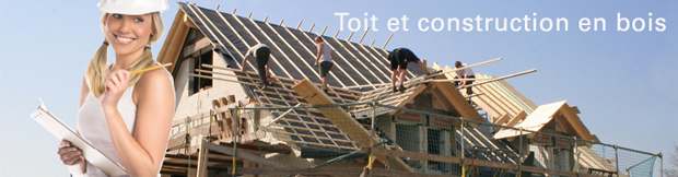cat toit et construction en bois